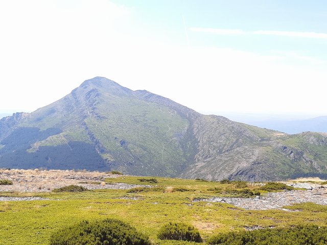 Vista del Ocejón desde el Cerro del Campo