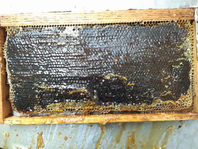 Panal de Miel de Valverde de los Arroyos