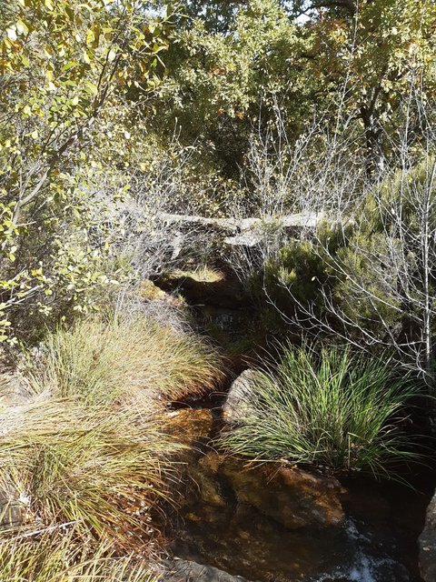 Puente del Arroyo de las chorreras de Despeñalagua. Coordendas: 41.127840, -3.244241