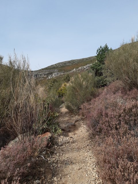 Senda hacia las Chorreras de Despeñalagua desde Valverde de los Arroyos